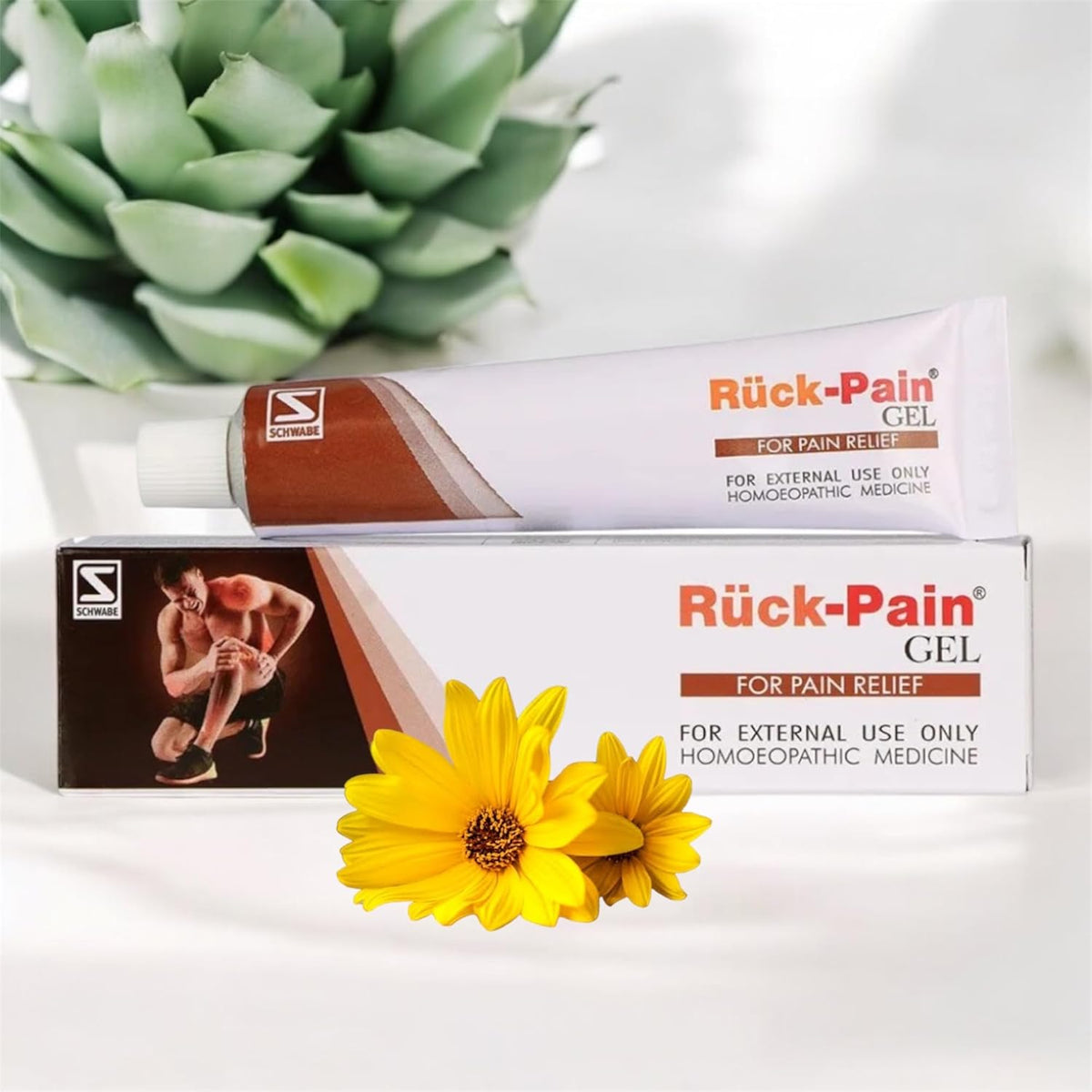 Dr. Willmar Schwabe India Topi MP Cream