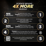 Big Muscles Nutrition Premium Gold Whey Protein Big Muscles Nutrition