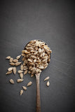Freshon Organic Sunflower Seeds Freshon