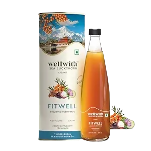 Wellwith Fitwell Juice – Himalayan Sea Buckthorn + Garcinia, Kokum & Punarnava - Safuron