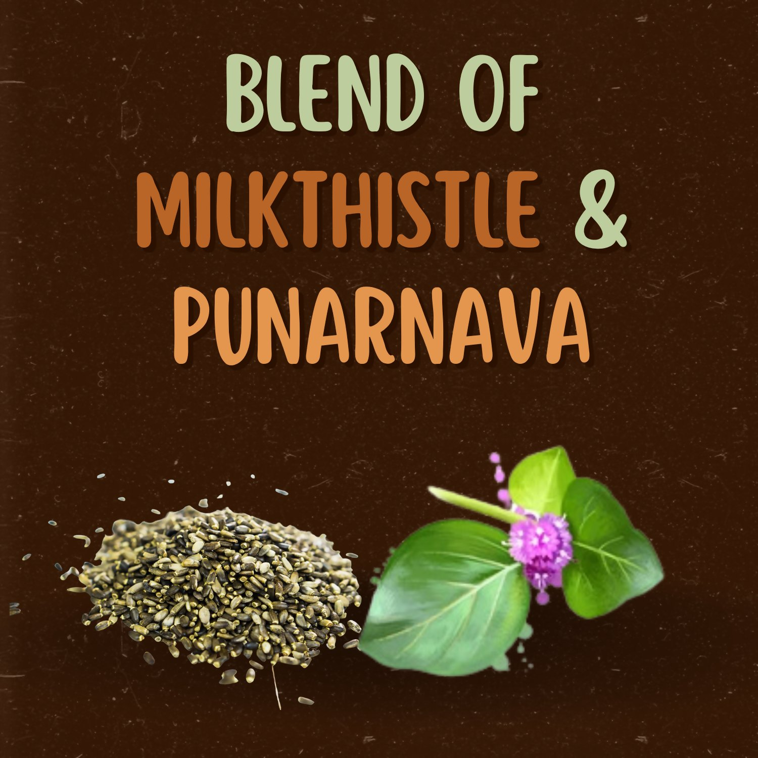 Satvi Wellness Milkthistle Punarnava Herbal Infusion Mix In Indvidual Packets | Herbal Tea Sachet Satvi Wellness