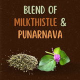 Satvi Wellness Milkthistle Punarnava Herbal Infusion Mix In Indvidual Packets | Herbal Tea Sachet Satvi Wellness