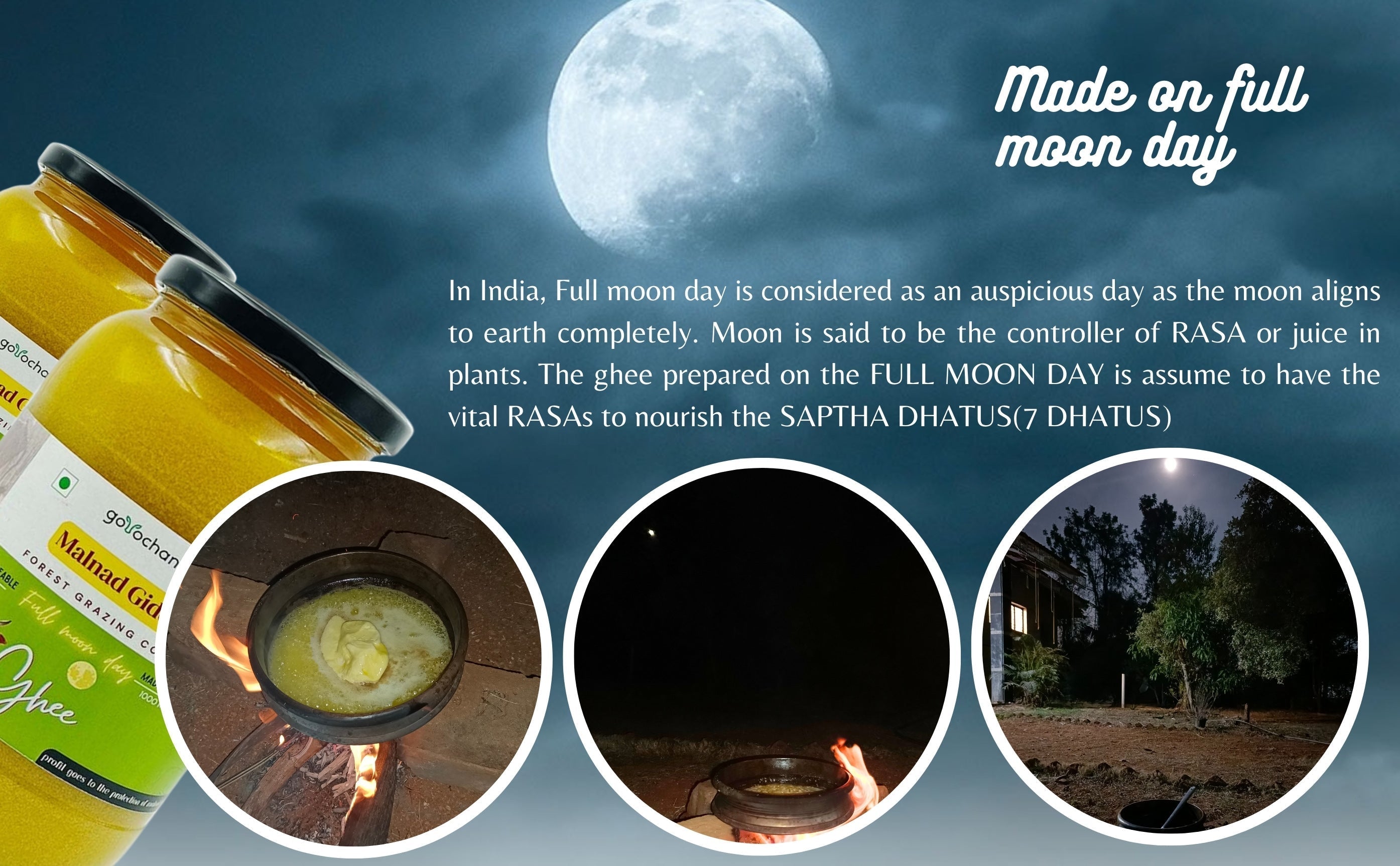 Gorochana 100% Source Traceable Desi Malnad Gidda A2 Full Moon Day Bilona Cow Ghee | Pure Ghee | Organic Ghee Gorochana