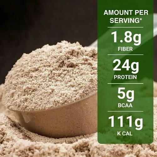 Inlife Vegan Plant Protein Powder Chocolate Flavour Inlife