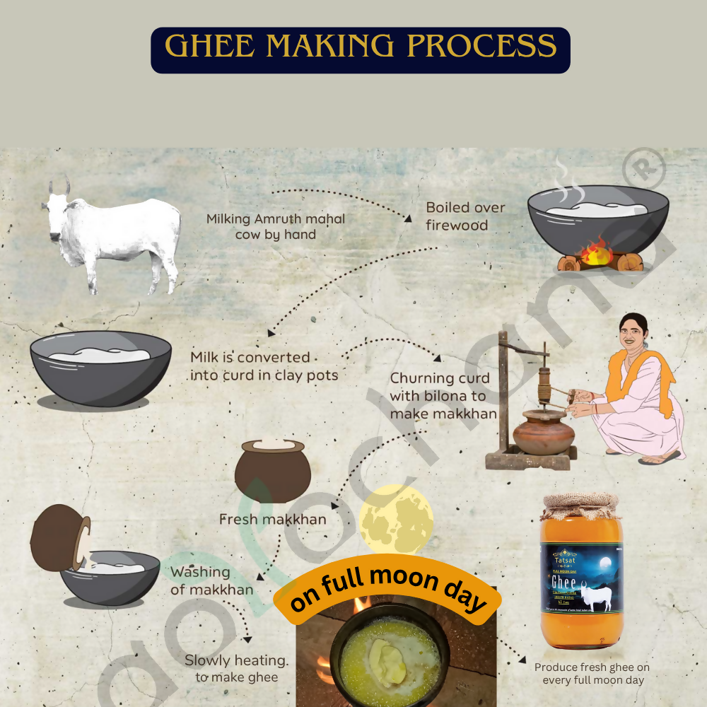 Tatsat Full Moon Day Ghee From Forest Gazing Amruth Mahal A2 Cows | Pure A2 Ghee, Natural & Healthy, Non-GMO Tatsat