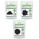 Yuvagrow Super Berries Combo - Safuron