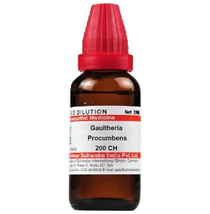 Dr. Willmar Schwabe India Gaultheria Procumbens Dilution - Safuron Naturals