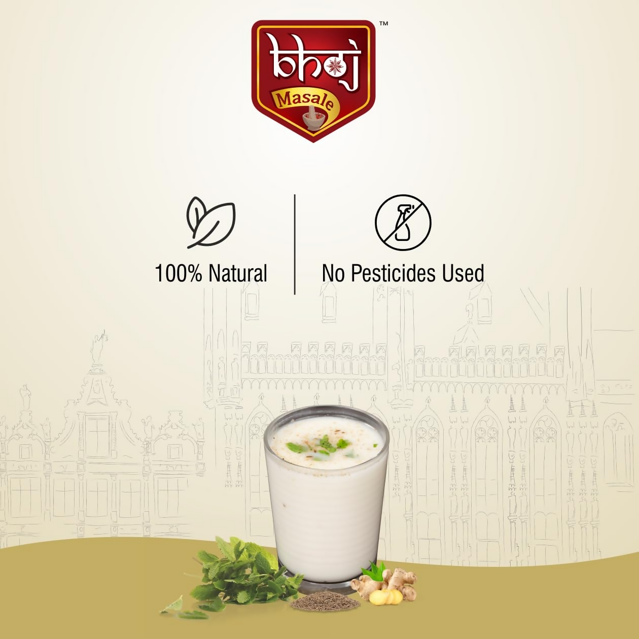 Bhoj Masale Chaas Masala Bhoj Masale
