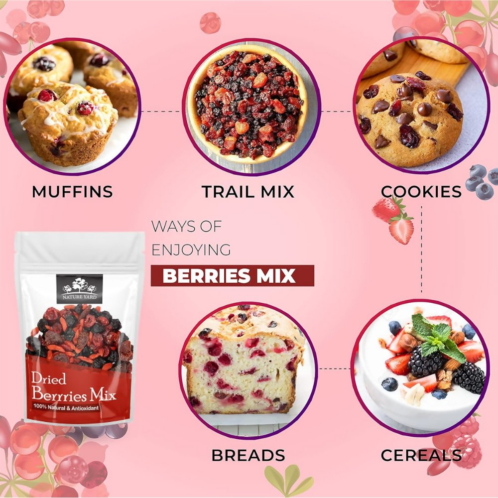 Nature Yard Berries mix without sugar - Mix of Dried Cranberry, Blueberry, Goji berry & Strawberry Dry fruits Nature Yard