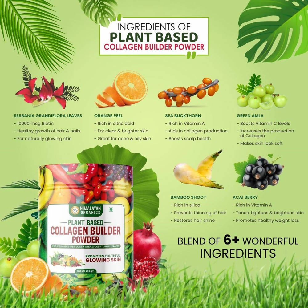 Himalayan Organics Plant Based Collagen Builder Powder Himalayan Organics