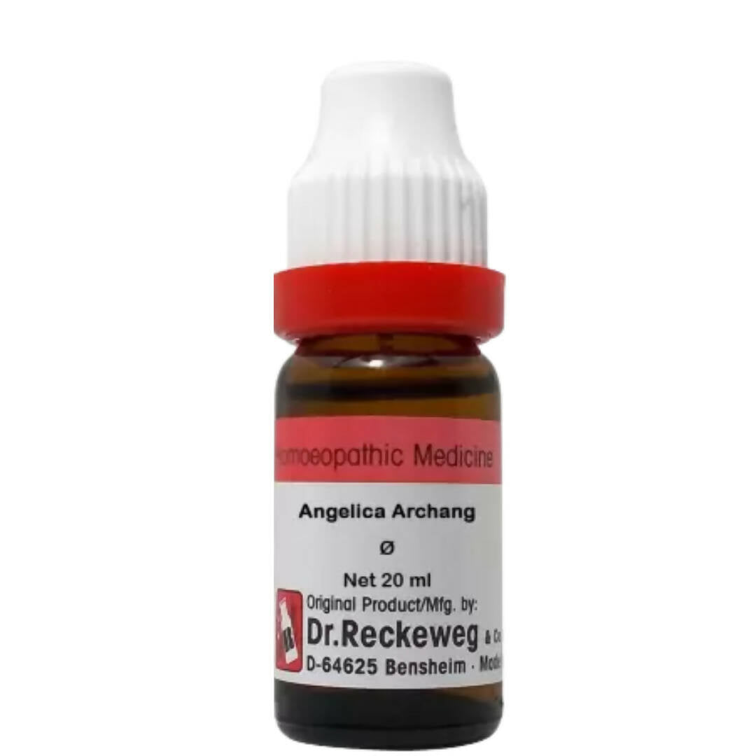 Dr. Reckeweg Angelica Archang Mother Tincture Q - Safuron Naturals