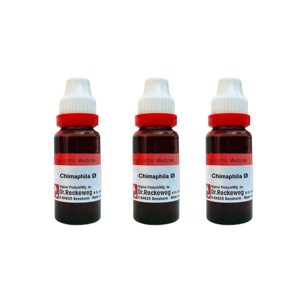 Dr. Reckeweg Chimaphila Mother Tincture Q - Safuron Naturals