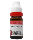 Dr. Reckeweg Lemna Minor Dilution - Safuron Naturals