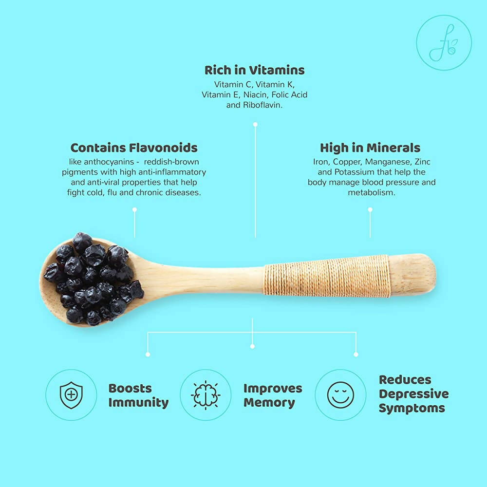 Flyberry Gourmet Dried Bold Blueberries Flyberry Gourmet