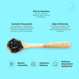 Flyberry Gourmet Dried Bold Blueberries Flyberry Gourmet