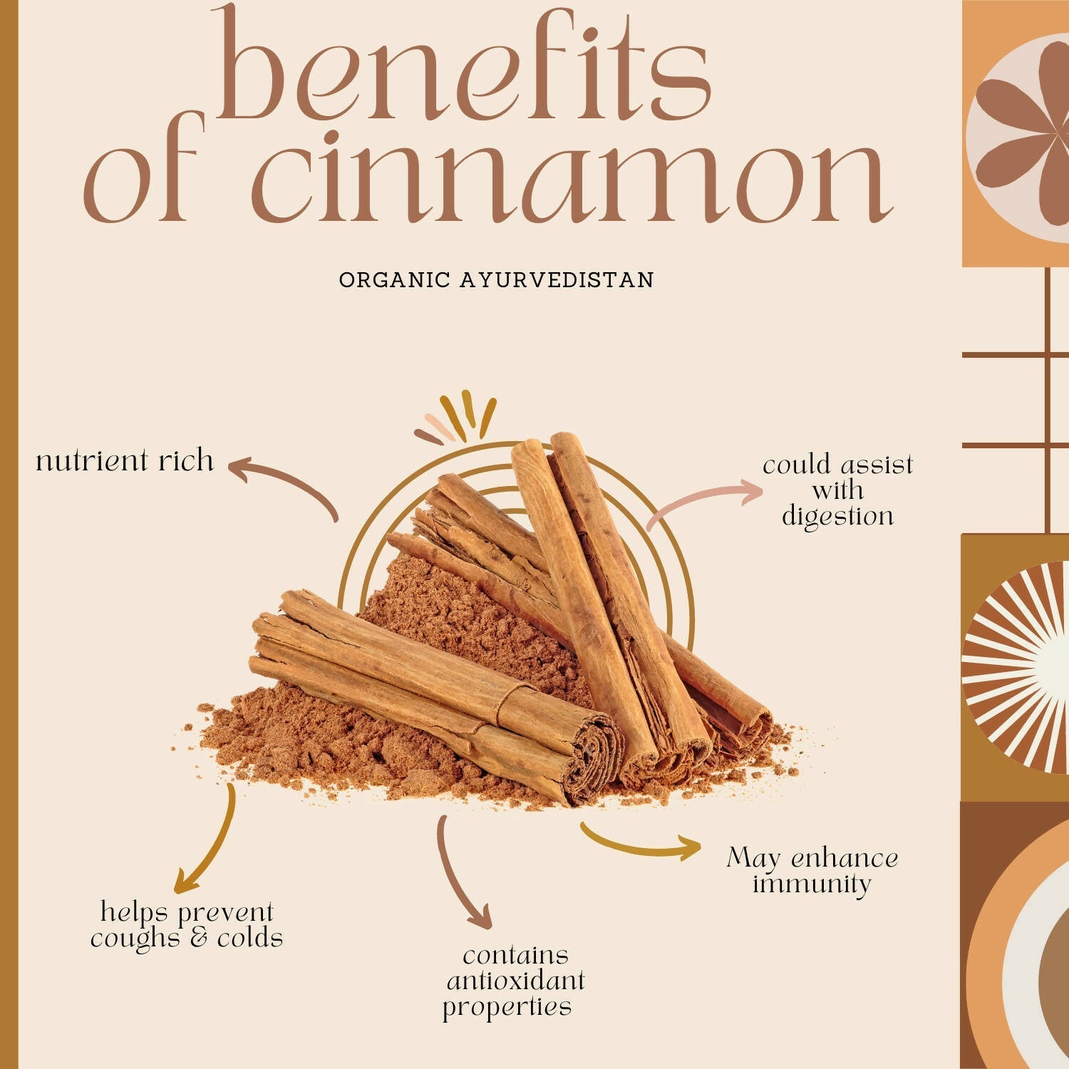 Organic Ayurvedistan Ceylon Cinnamon Sticks Organic Ayurvedistan