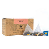 Tea Sense Bombay Cutting Masala Chai Bags Box Tea Sense