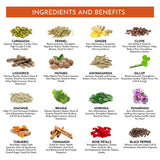 Satv Niramaya Herbal Tea Mix Satv Source of Goodness