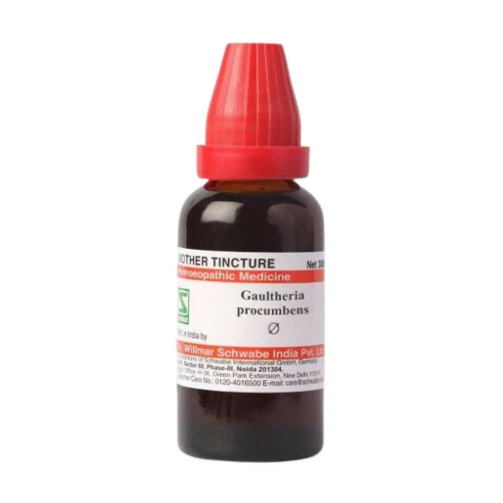 Dr. Willmar Schwabe India Gaultheria Procumbens Mother Tincture Q - Safuron Naturals