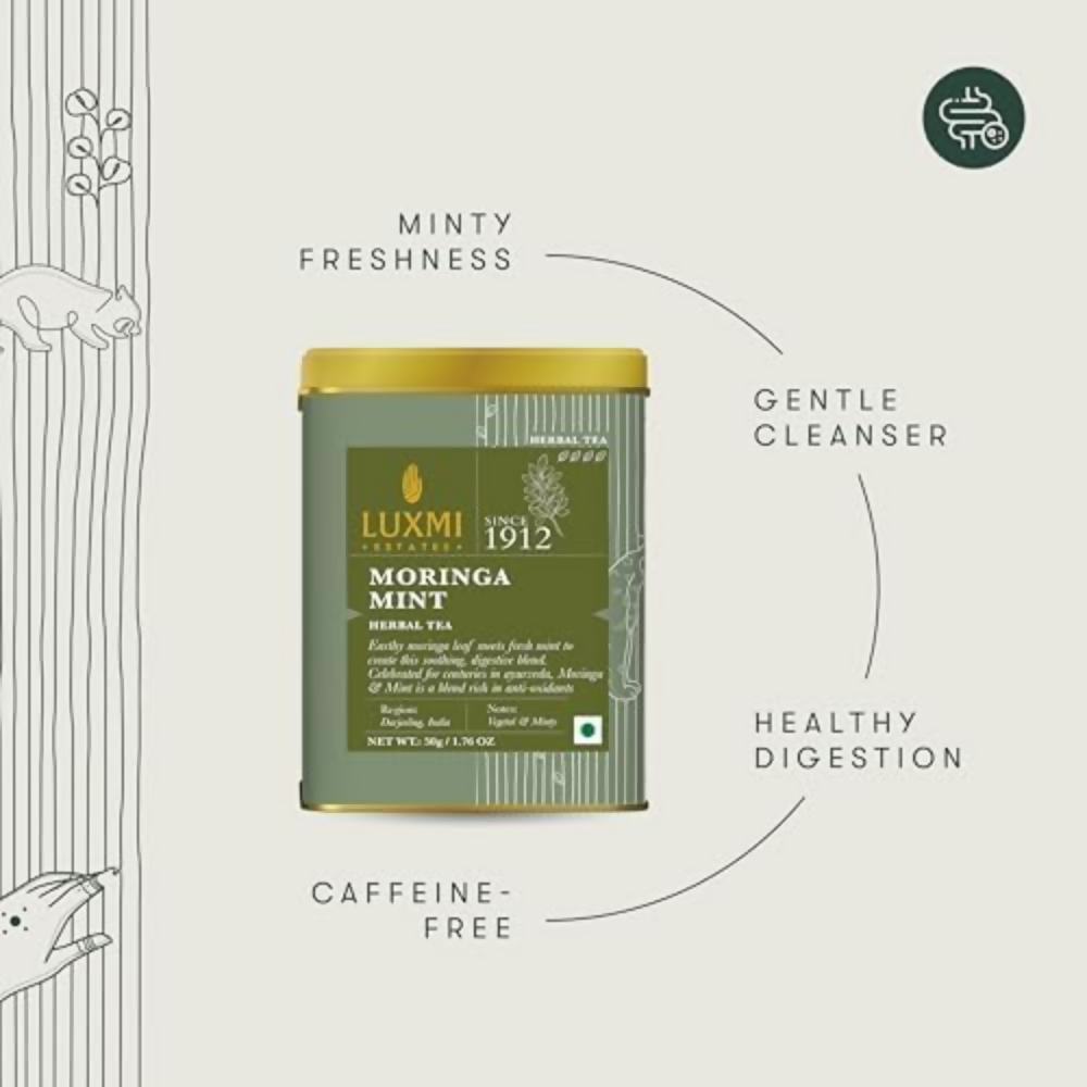 Luxmi Estates Moringa Mint Herbal Infusion Luxmi Estates