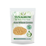Yuvagrow Raw Wheat Grains - Safuron