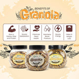 Nutriorg Crunchy Granola Seeds & Dry Fruit Flavor Nutriorg