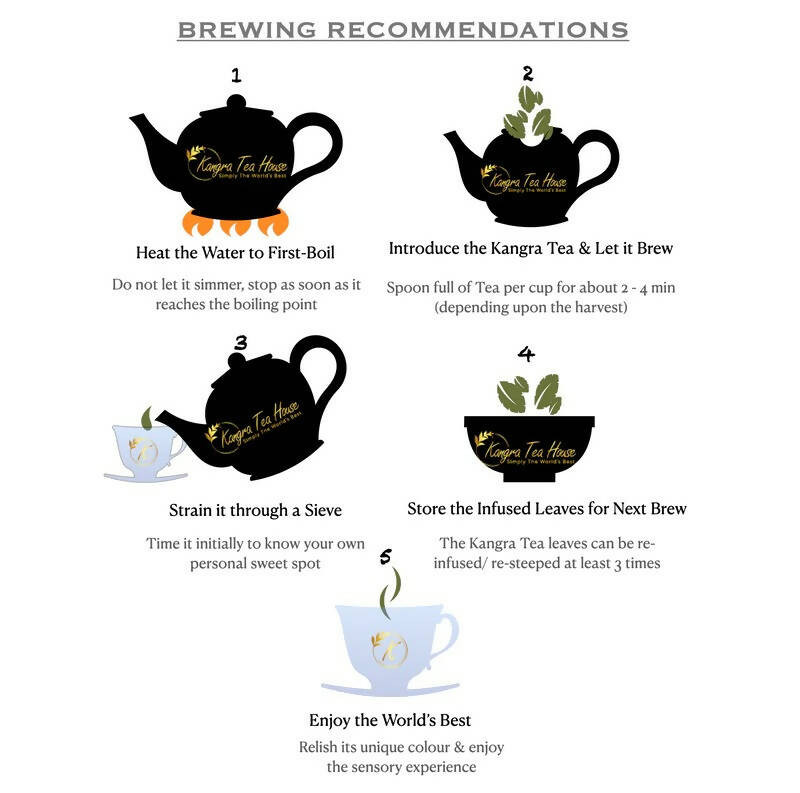 Kangra Tea House PuriTEA - Green Tea Kangra Tea House