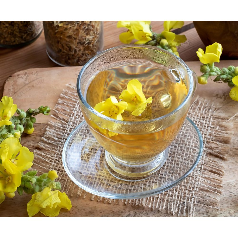 Nature Yard Mullein Tea Nature Yard