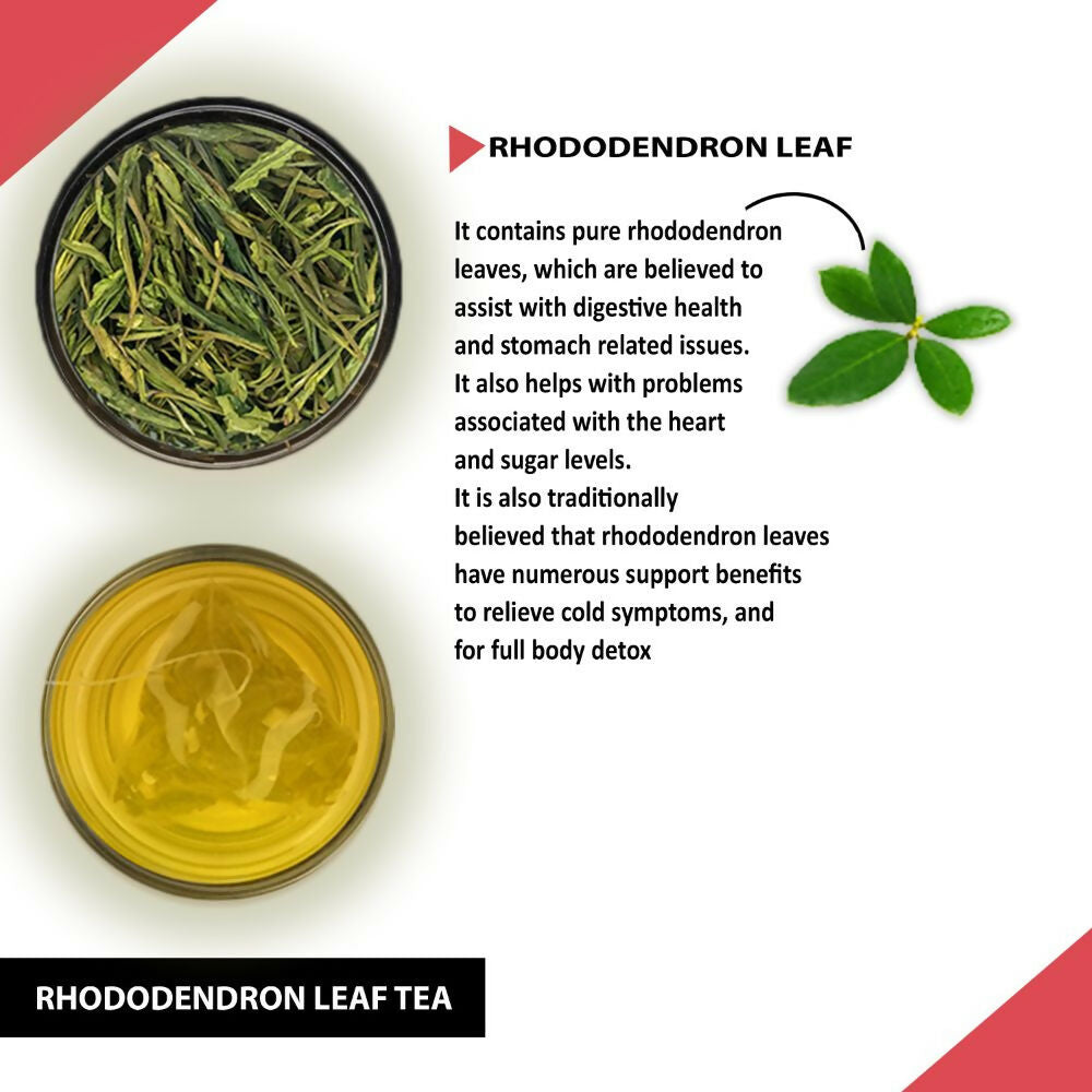 Teacurry Rhododendron Leaf Tea Teacurry