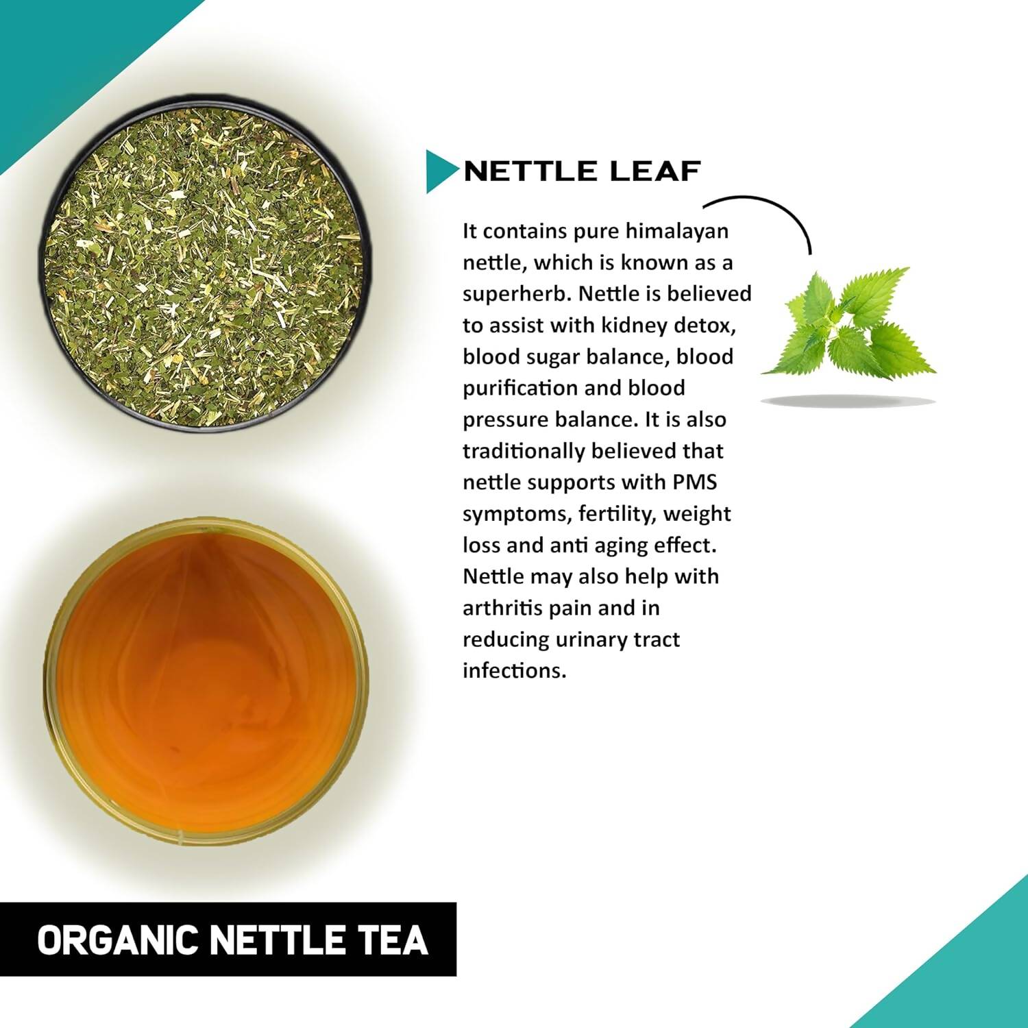 Teacurry Organic Nettle Tea Bags Teacurry