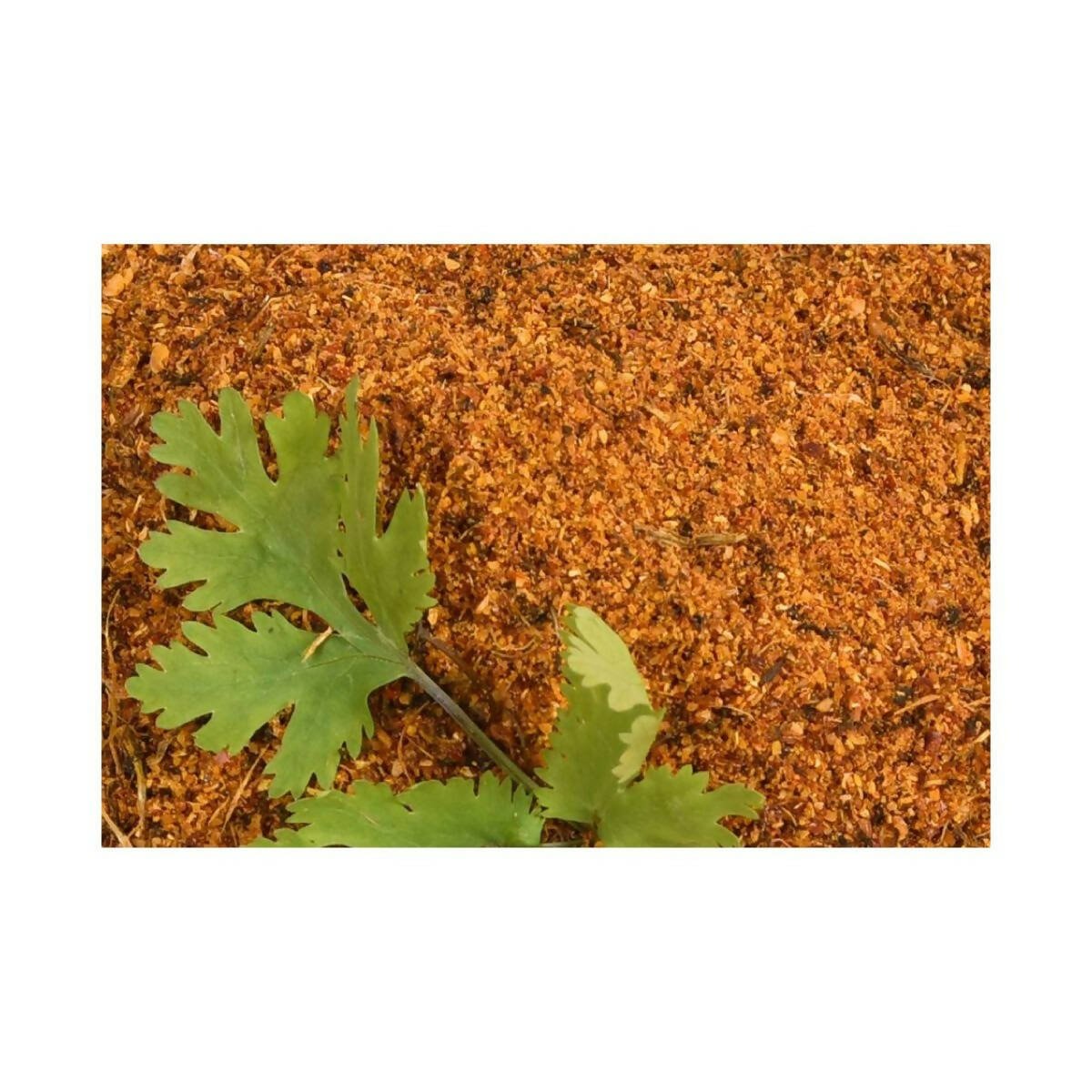 Amoga's Pickles Factory Coriander Leaves Curry Powder Andhra Style Amoga's Pickles Factory