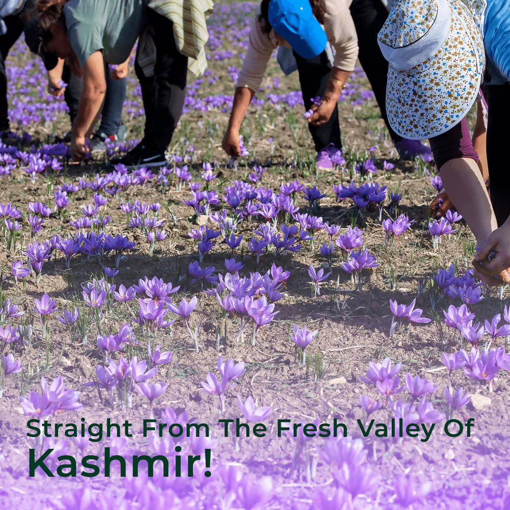 Organic Mandya Kashmiri Saffron Organic Mandya