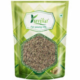 Yuvika Ajmoda Seeds Yuvika