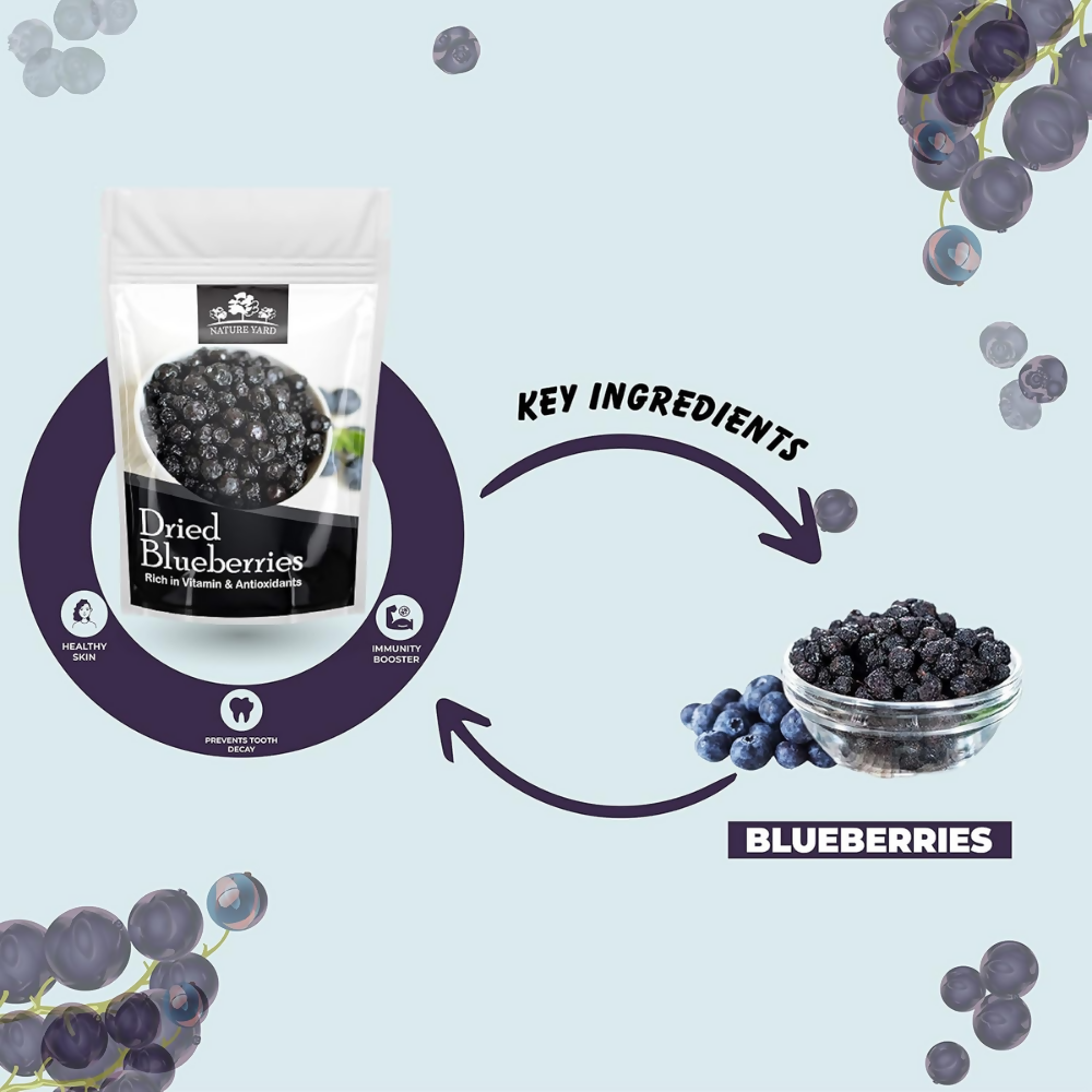 Nature Yard Dried Blueberry, Whole Dried Cranberry, Goji Berry, & Kiwi dry fruit Nature Yard