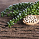 Sattva Sugandha White Pepper Sattva Sugandha