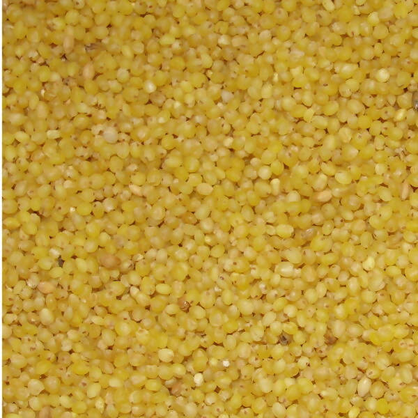 Freshon Foxtail Millets Organic - Unpolished Freshon