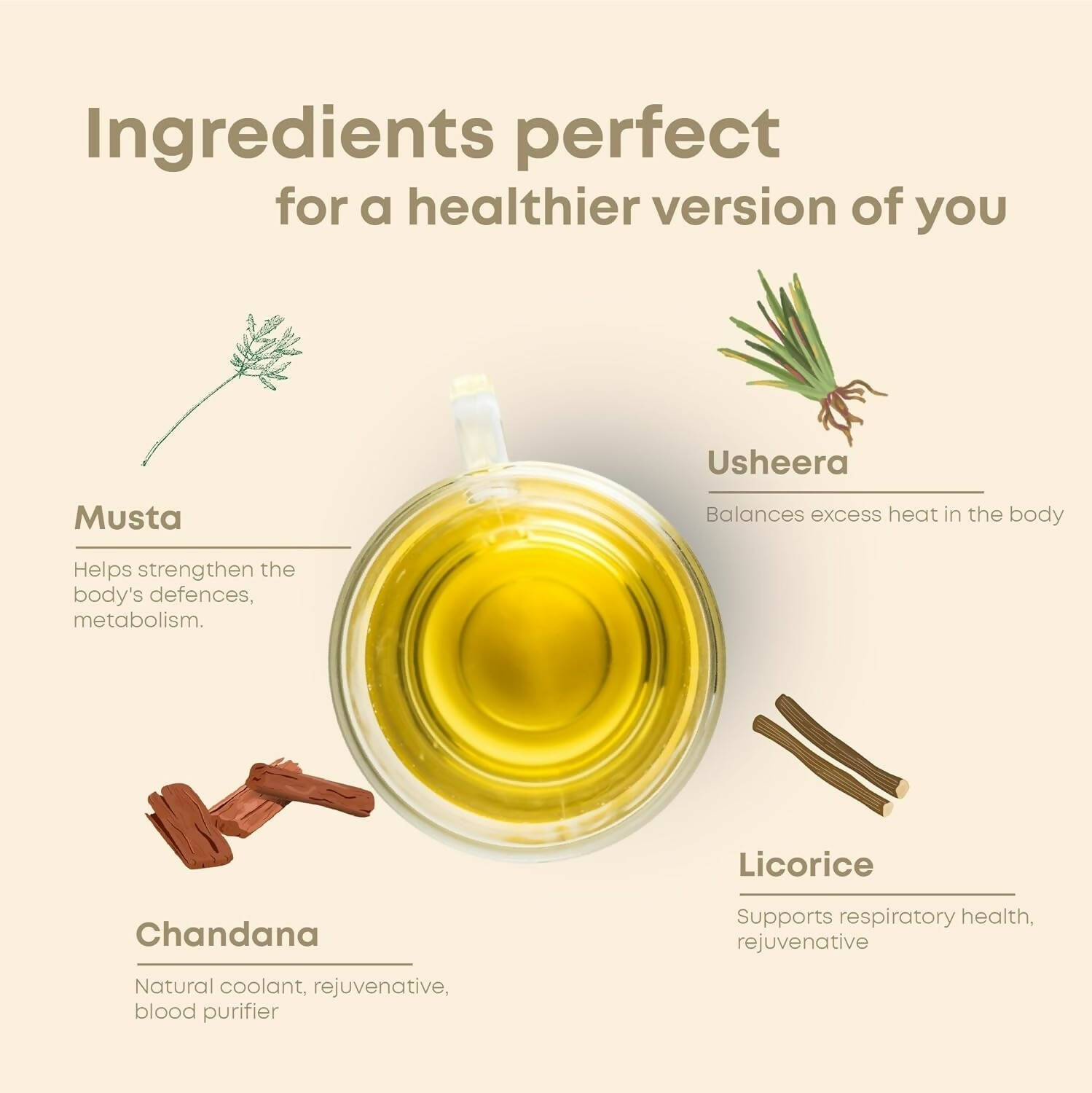 Shivamastu Ayurveda Wellnessbrew Herbal Tea Shivamastu Ayurveda