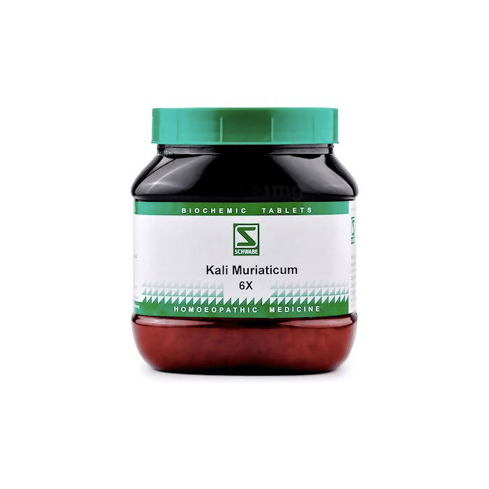 Dr. Willmar Schwabe India Kali Muriaticum Biochemic Tablet - Safuron Naturals