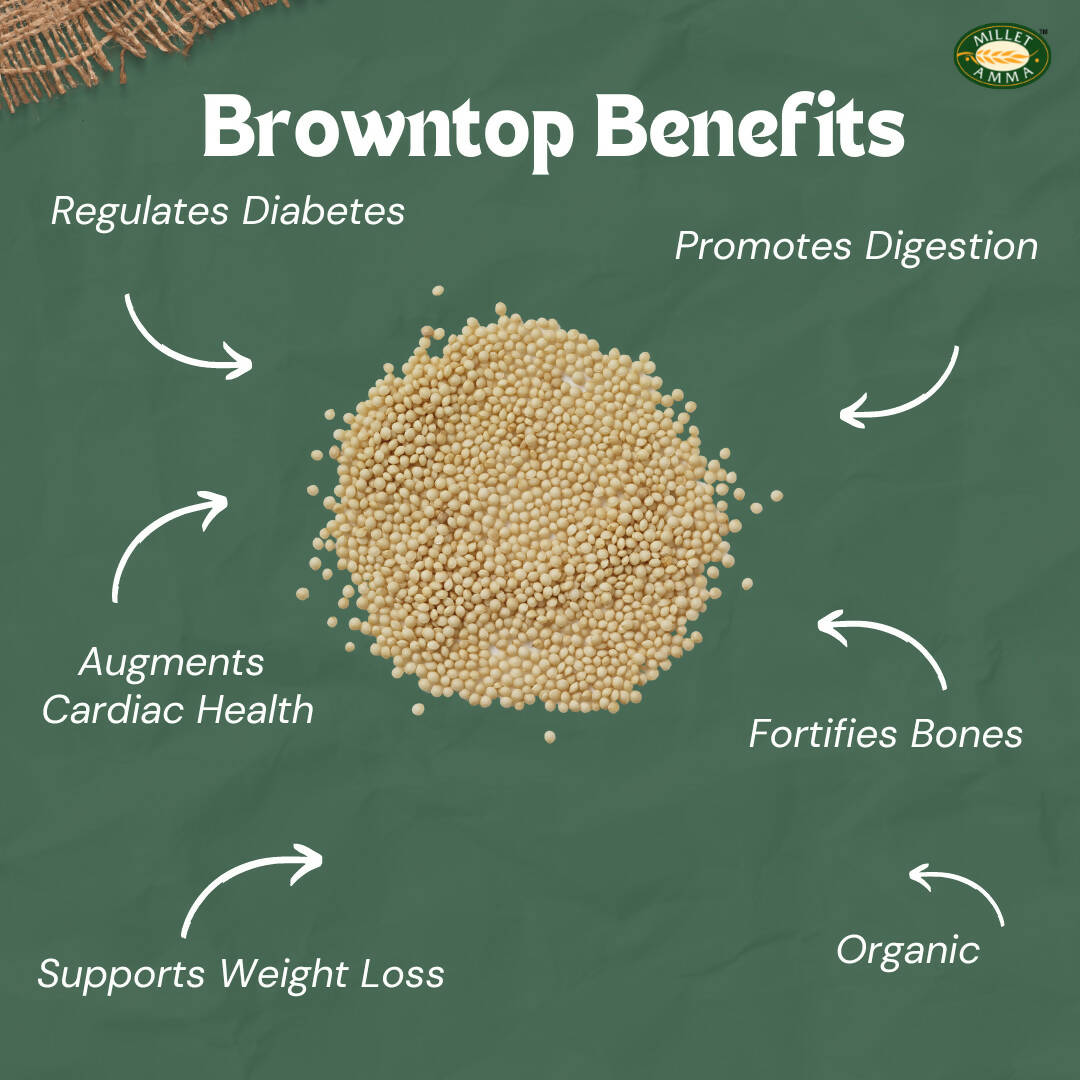 Millet Amma Organic Browntop Millet Grains Millet Amma