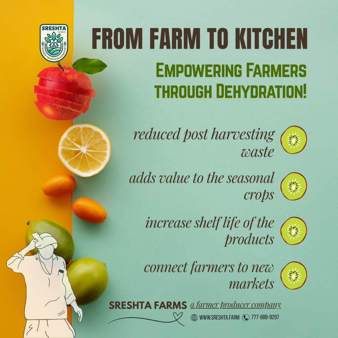 Sreshta Farms Instant ABC Juice Powder Sreshta Farms
