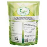 Yuvika Flax Seed - Alsi - Linum Usitatissimum Yuvika
