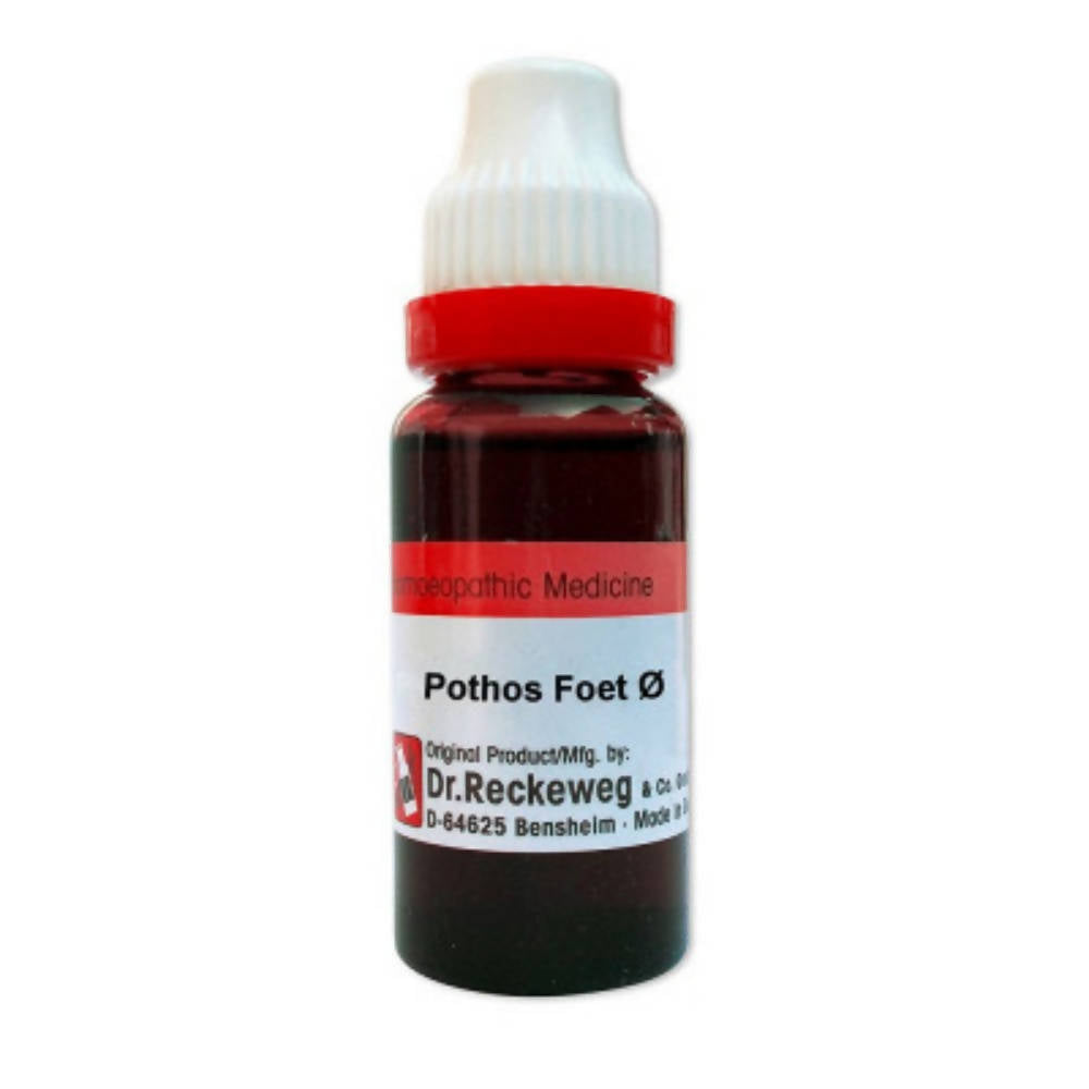 Dr. Reckeweg Pothos Foetida Mother Tincture Q - Safuron Naturals