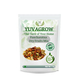 Yuvagrow Panchratan Dry Fruits Mix - Safuron