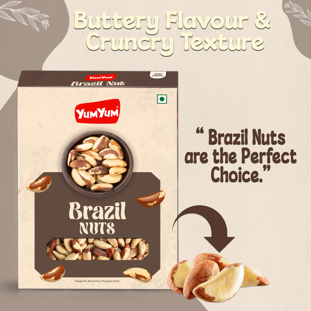Yum Yum Brazil Nuts Box Yum Yum