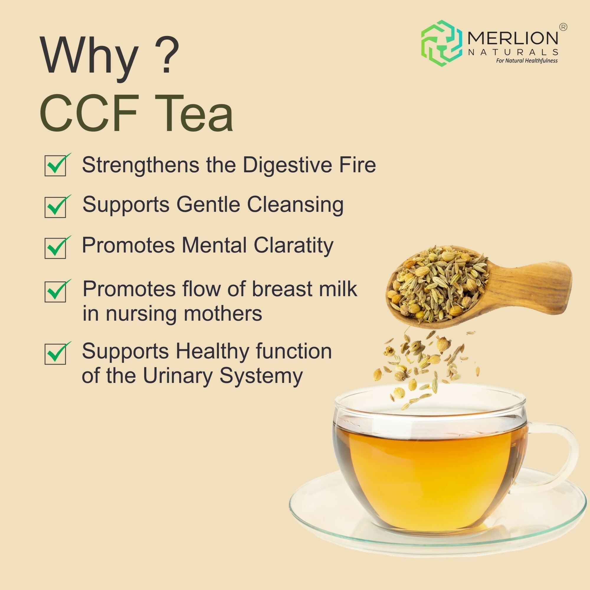 Merlion Naturals CCF Tea (Cumin, Coriander and Fennel Tea Bag) Merlion Naturals