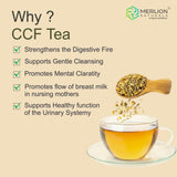 Merlion Naturals CCF Tea (Cumin, Coriander and Fennel Tea Bag) Merlion Naturals