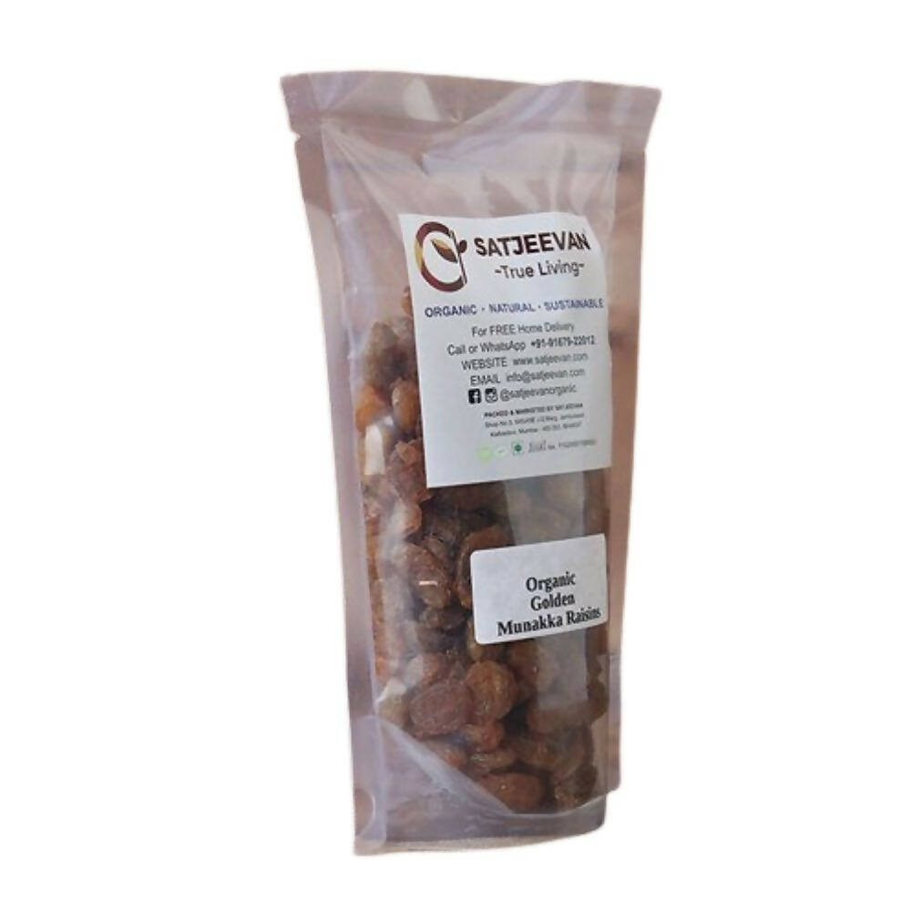 Satjeevan Organic Golden Munakka Raisins Satjeevan