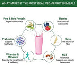 Inlife Vegan Protein Meal Mixed Berry Flavour Inlife