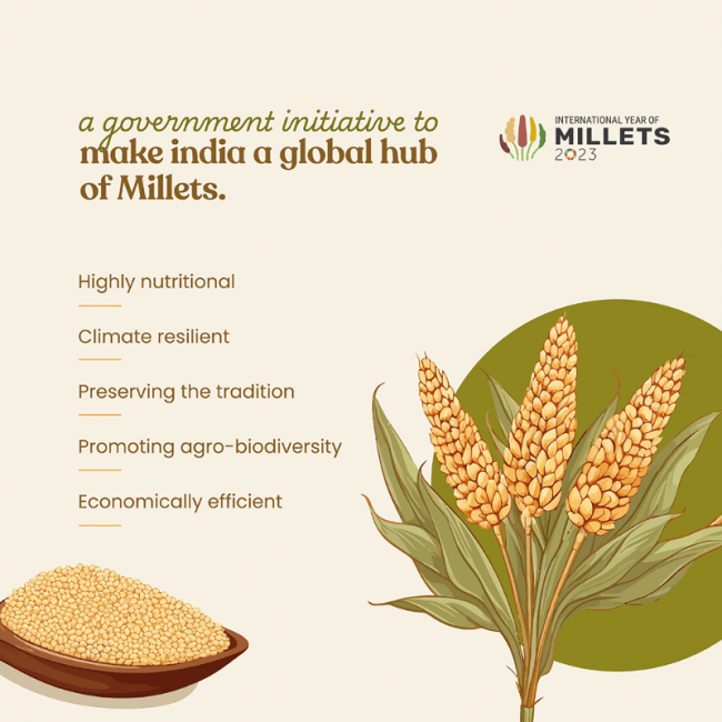 Bharat Vedica Organic Pearl Millet - Organic Bajra Bharat Vedica