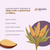 Bharat Vedica Organic Sorghum Millet - Organic Jowar Bharat Vedica